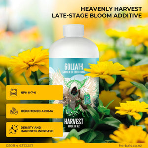 Goliath Heavenly Harvest