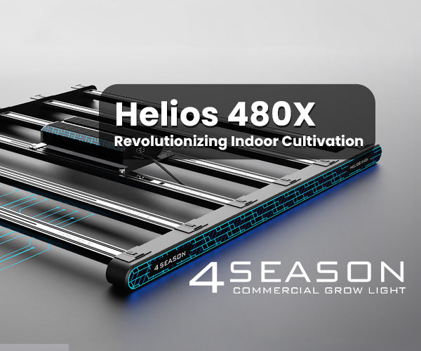 The Helios 480x Grow Light: Revolutionizing Indoor Cultivation