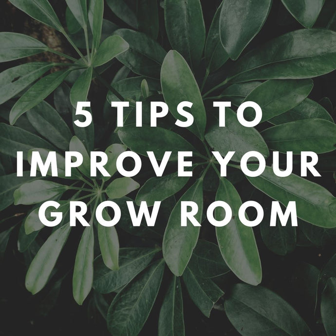 5 tips to improve your Grow Room