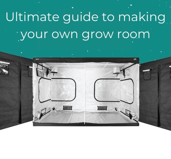 Guide to making your own Grow Tent | Herbal House NZ
