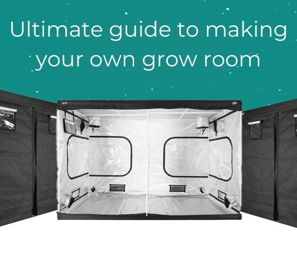 Ultimate guide to making your own grow room
