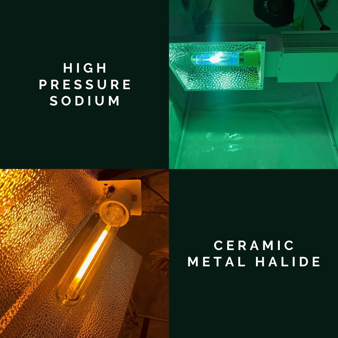 Sodium halide deals grow lights