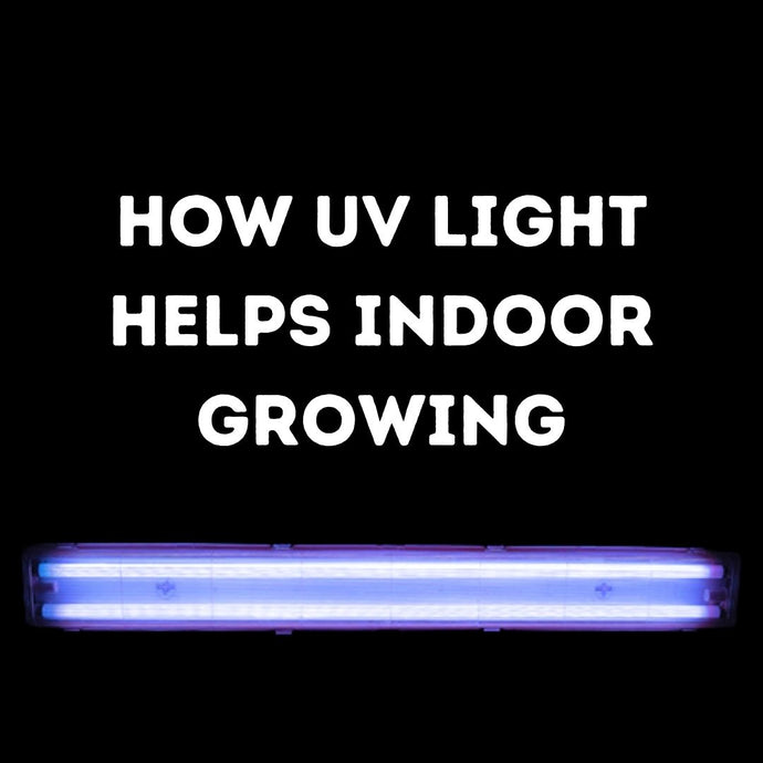 How UV Lights Helps With Plant Growth