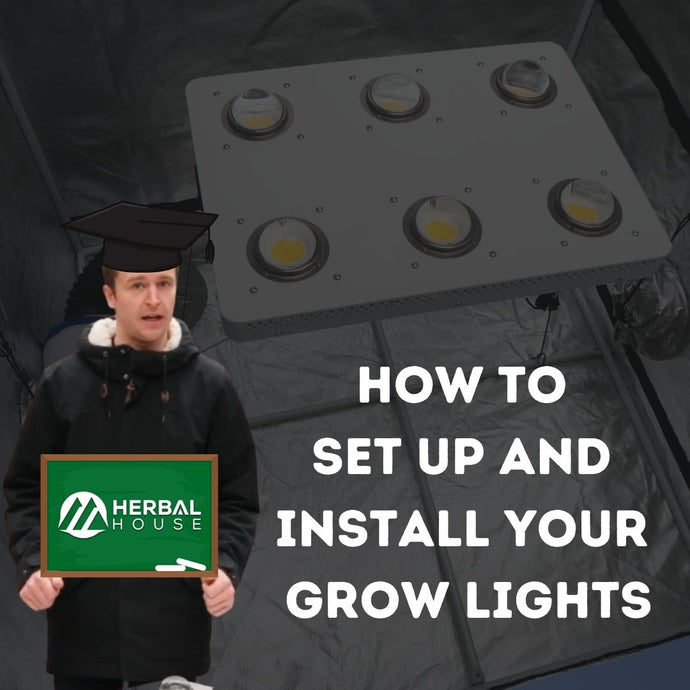 How to set up and install your grow lights