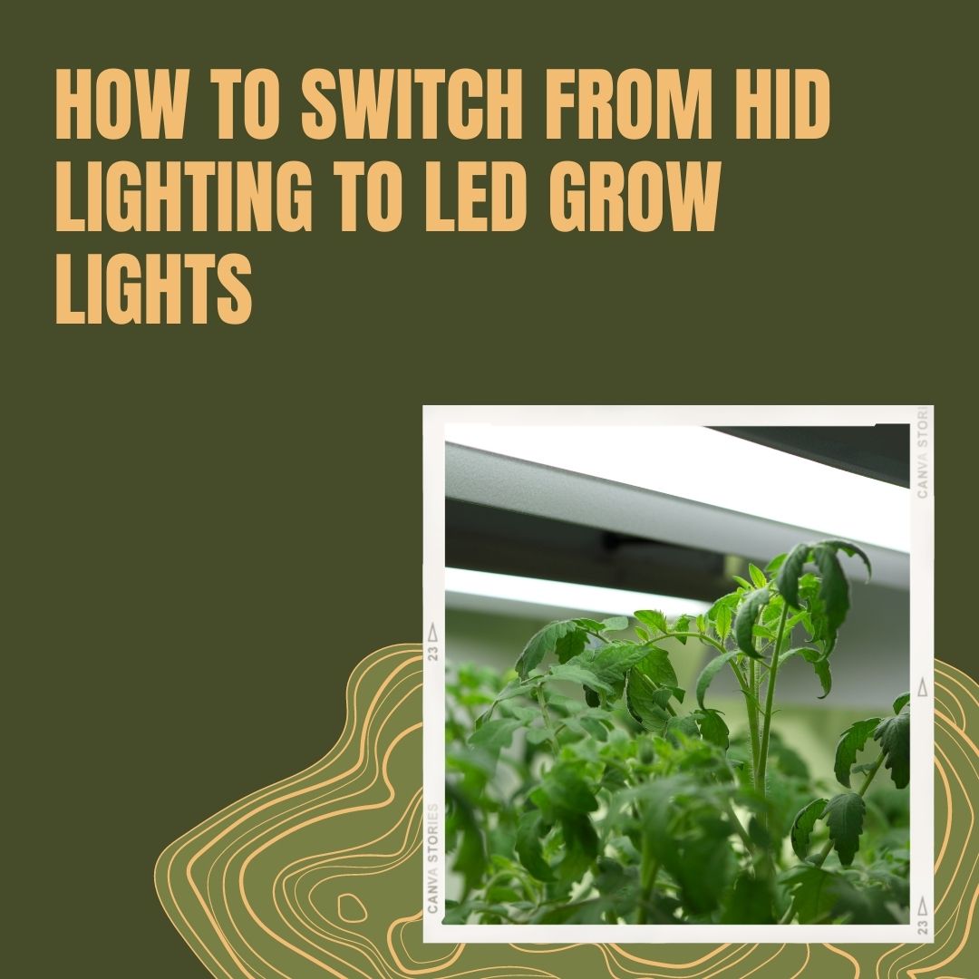 Hid outlet grow lights