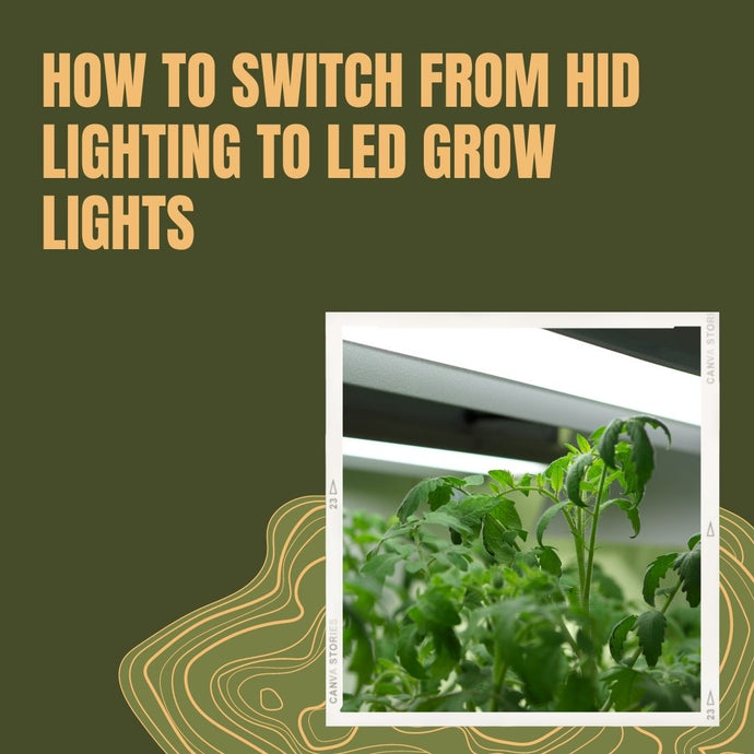 From HID lighting to LED grow lights