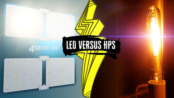 Which is the better grow light solution, HPS vs LED?