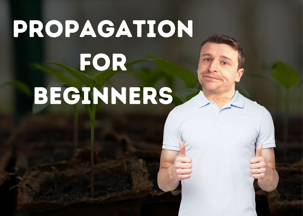 Plant Propagation & How To Propagate | Herbal House NZ
