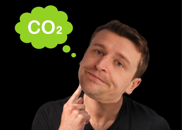 How CO2 affects your plant and the growth