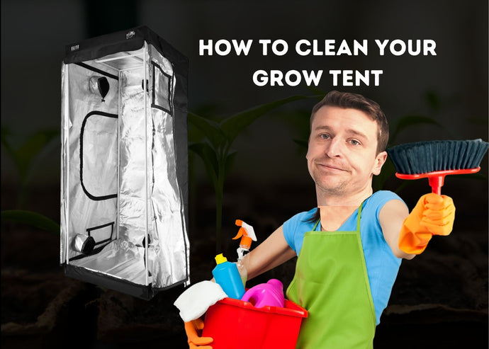 How To Clean Your Grow Tent & Indoor Growing Equipment