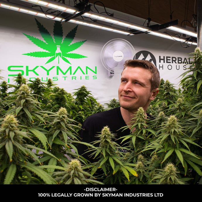 Insider look at Skyman Industries