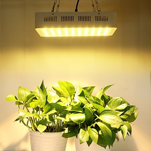 LED Grow Lights Are Efficient In Every Respect