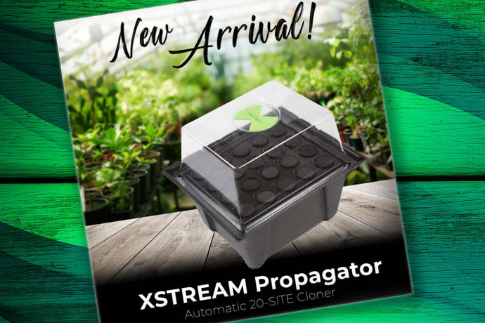 Featuring: The X-Stream Aeroponic Propagator