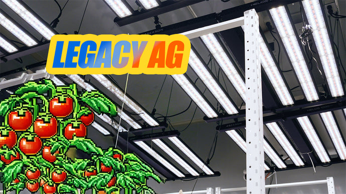 Precision Growing: Legacy.AG’s Smart Setup with HELIOS and AC Infinity