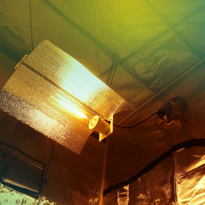 What’s the difference between single and double ended grow lights?