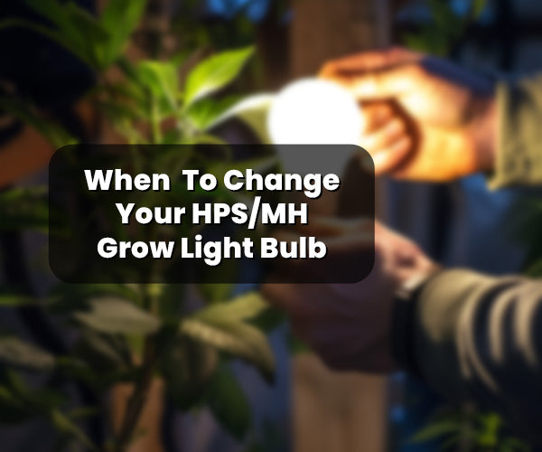 Knowing When It's Time to Change Your HPS/MH Grow Light Bulb