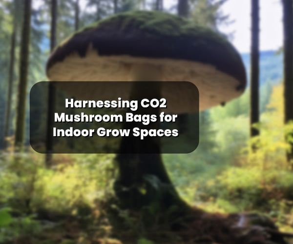 Harnessing CO2 Mushroom Bags for Indoor Grow Spaces