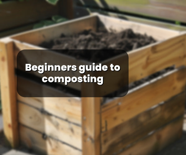 Beginners guide to composting