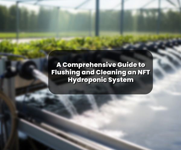 A Comprehensive Guide to Flushing and Cleaning an NFT Hydroponic System