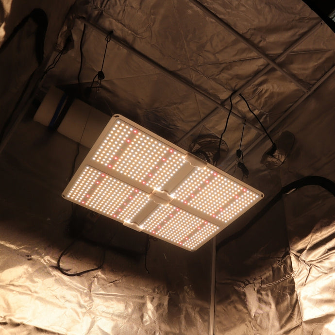 Latest Grow Light Technology Offering More for Growers than Ever Before