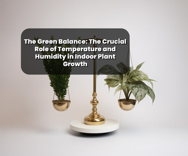 The Green Balance: The Crucial Role of Temperature and Humidity in Indoor Plant Growth