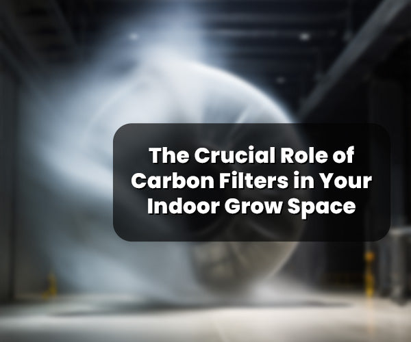 The Crucial Role of Carbon Filters in Your Indoor Growing Space