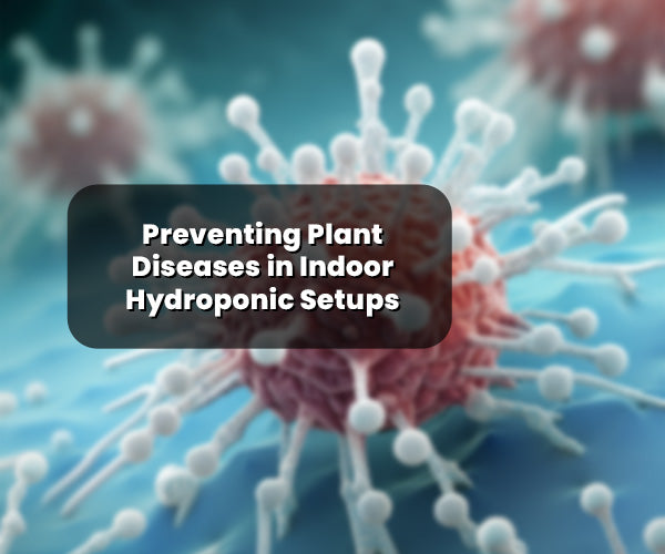 Guide to Preventing Plant Diseases in Indoor Hydroponic Setups