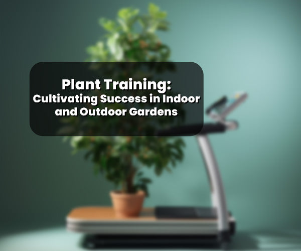 Plant Training: Cultivating Success in Indoor and Outdoor Gardens