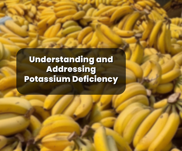 Identifying & Addressing Potassium Deficiency In Plants