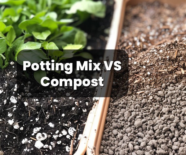 Potting Mix vs. Compost | Herbal House