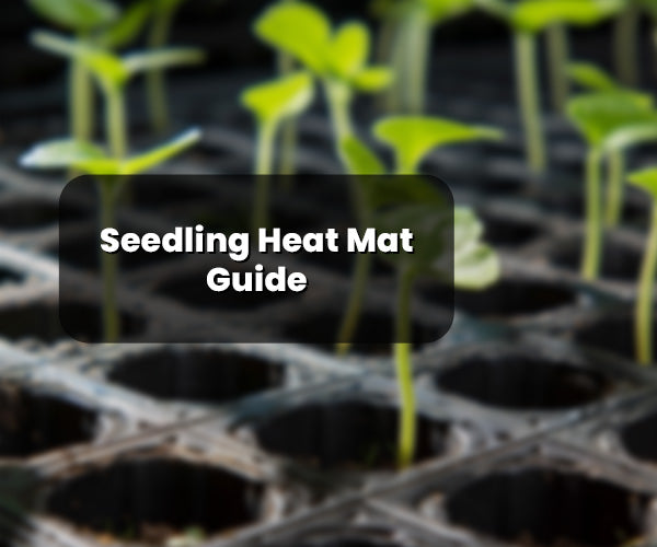A Guide to Successful Germination With Seedling Heat Mats