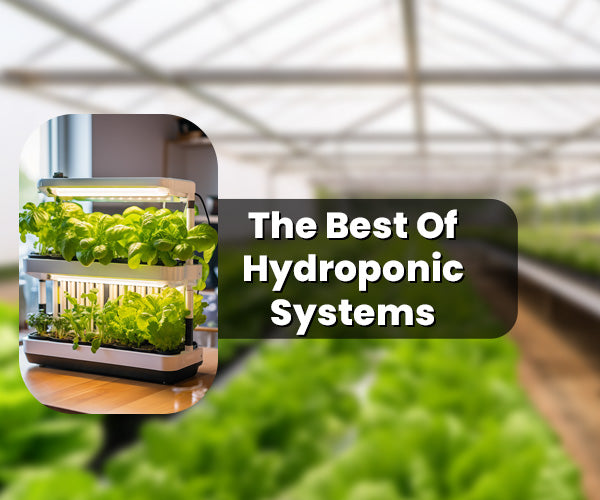 The Best Of Hydroponic Systems: 5 Types of Hydroponic Systems