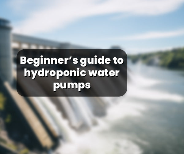 Beginner guide to hydroponic water pumps