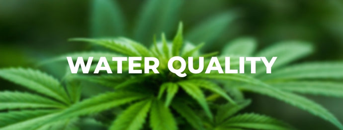 Importance of Water Quality Hydroponics