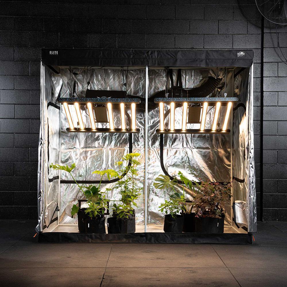 Indoor Grow Kit – Stage Three