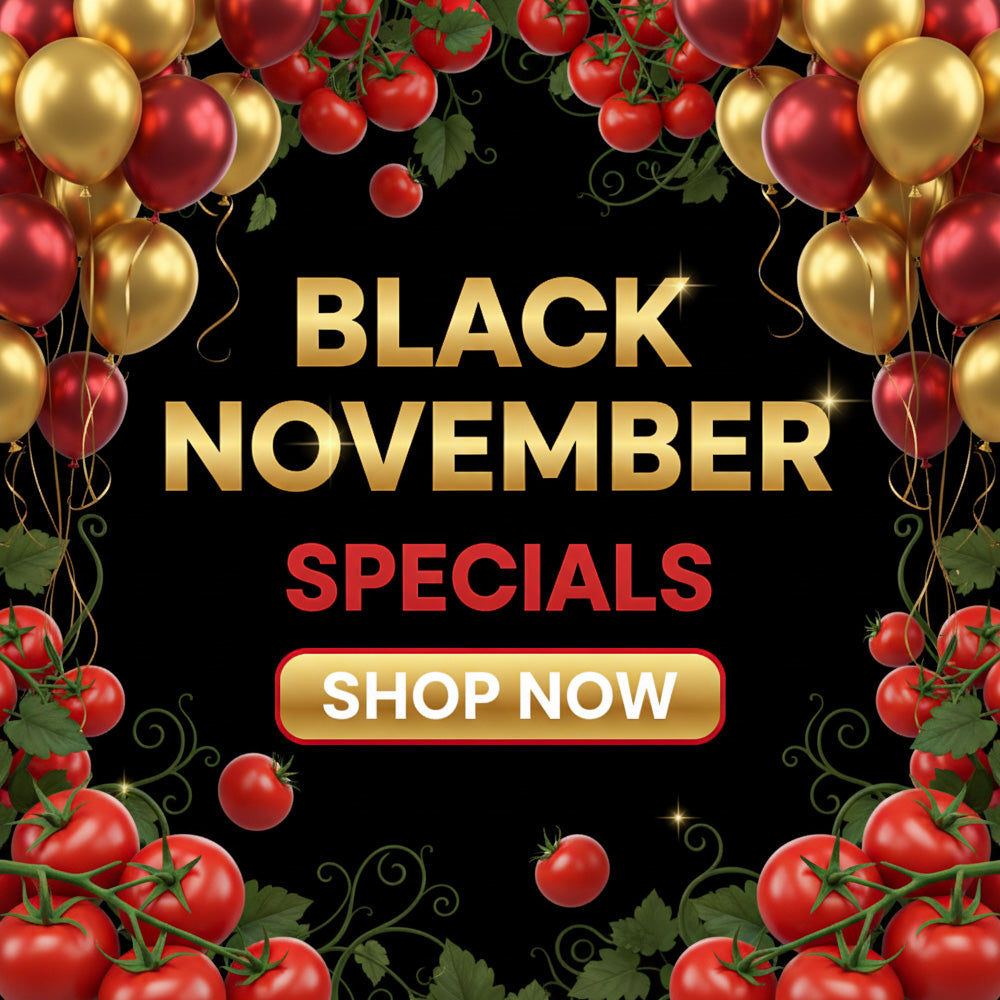BLACK NOVEMBER SAVINGS! Image