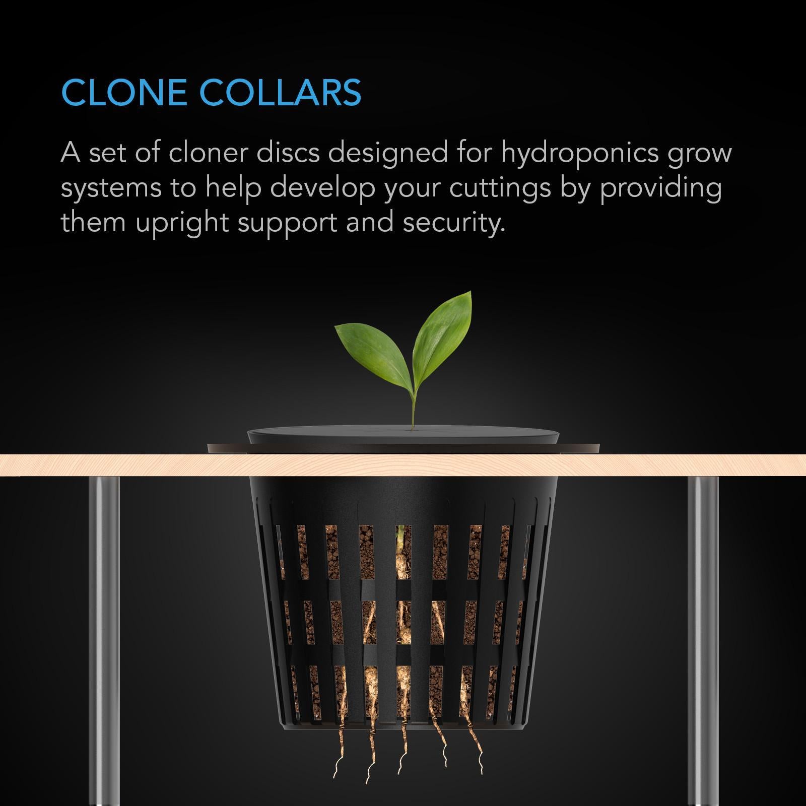 Clone Collars 3", Disc Inserts with 8-Spoke Design, 50-Pack