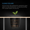 Clone Collars 3