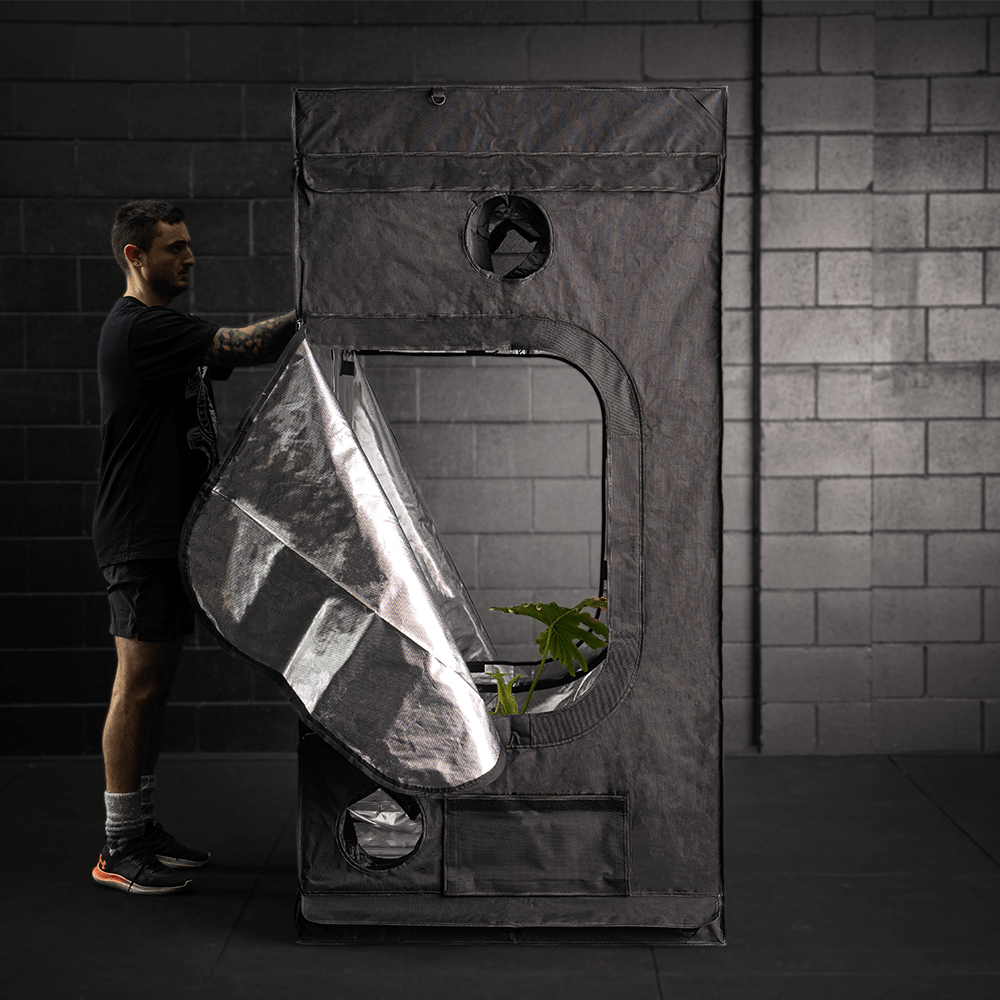 100x100 grow tent Eclipse Black Out Grow Tents - 100x100x200cm