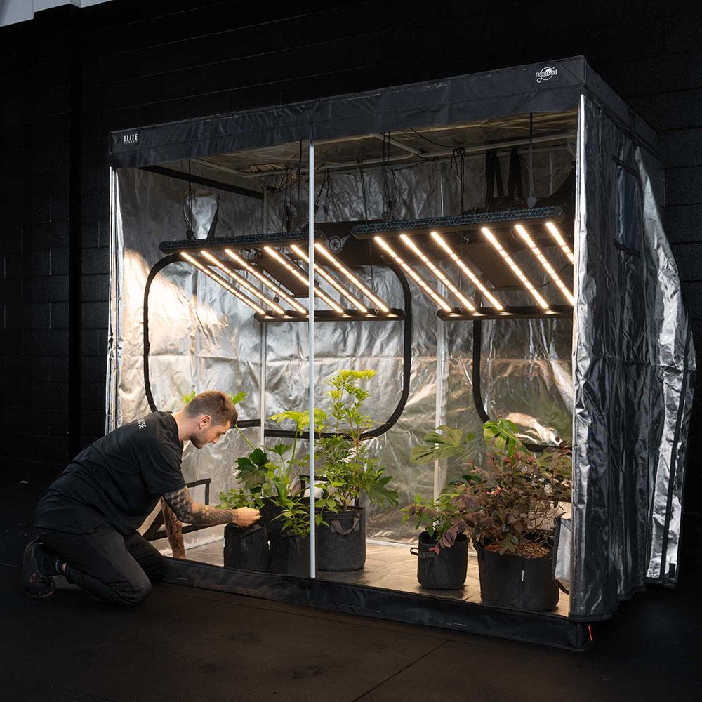 Indoor Grow Kit – Stage Three