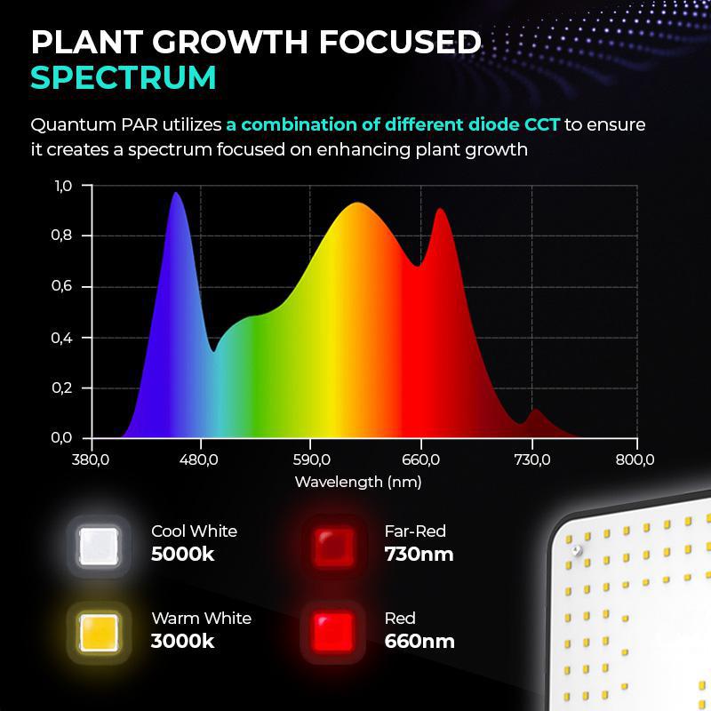 4Seasons 100w Quantum PAR - LED Grow Light