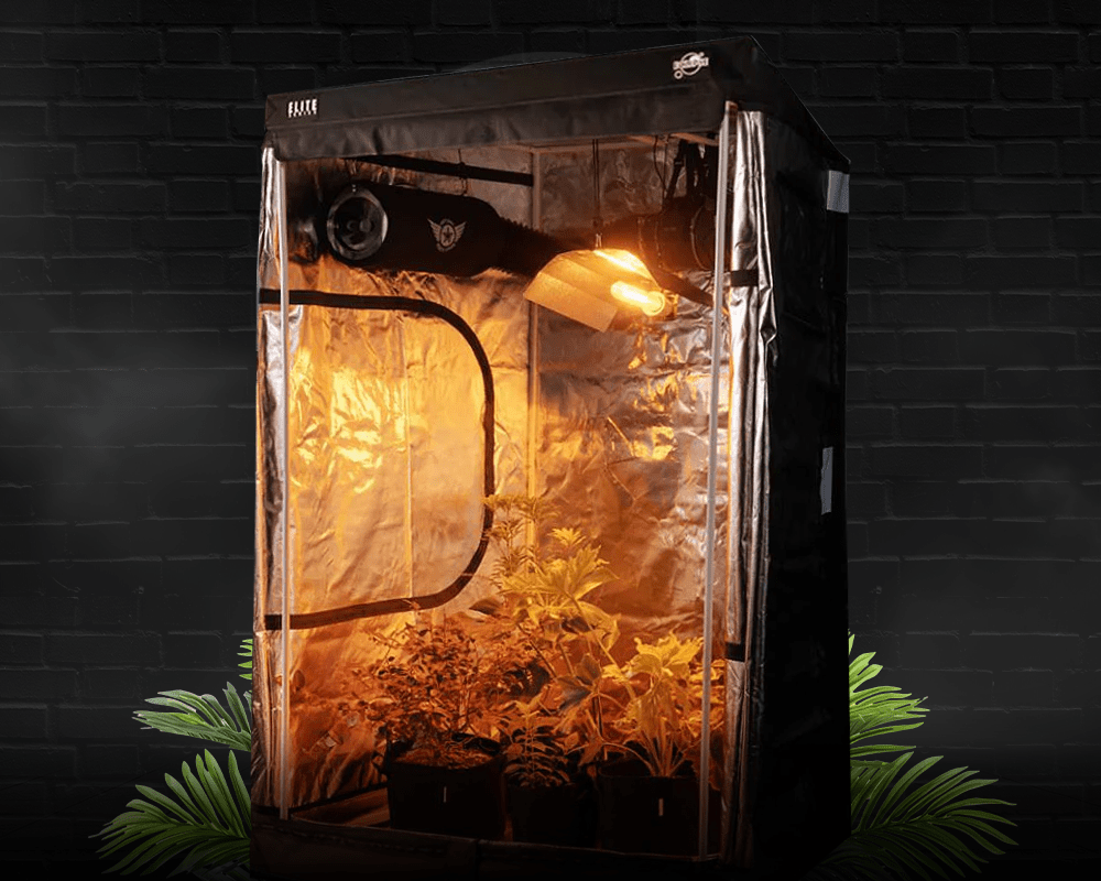 Indoor Grow Kits