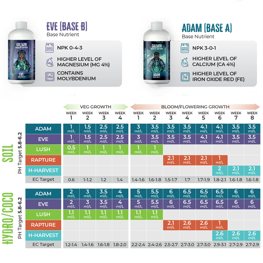 ADAM & EVE Base Nutrient