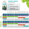 Goliath Nutrients Feed Chart