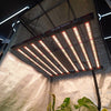 4Seasons HELIOS 1000 EVO+ LED Grow Light