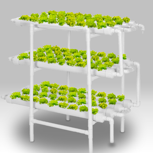 Hydroponic Kit