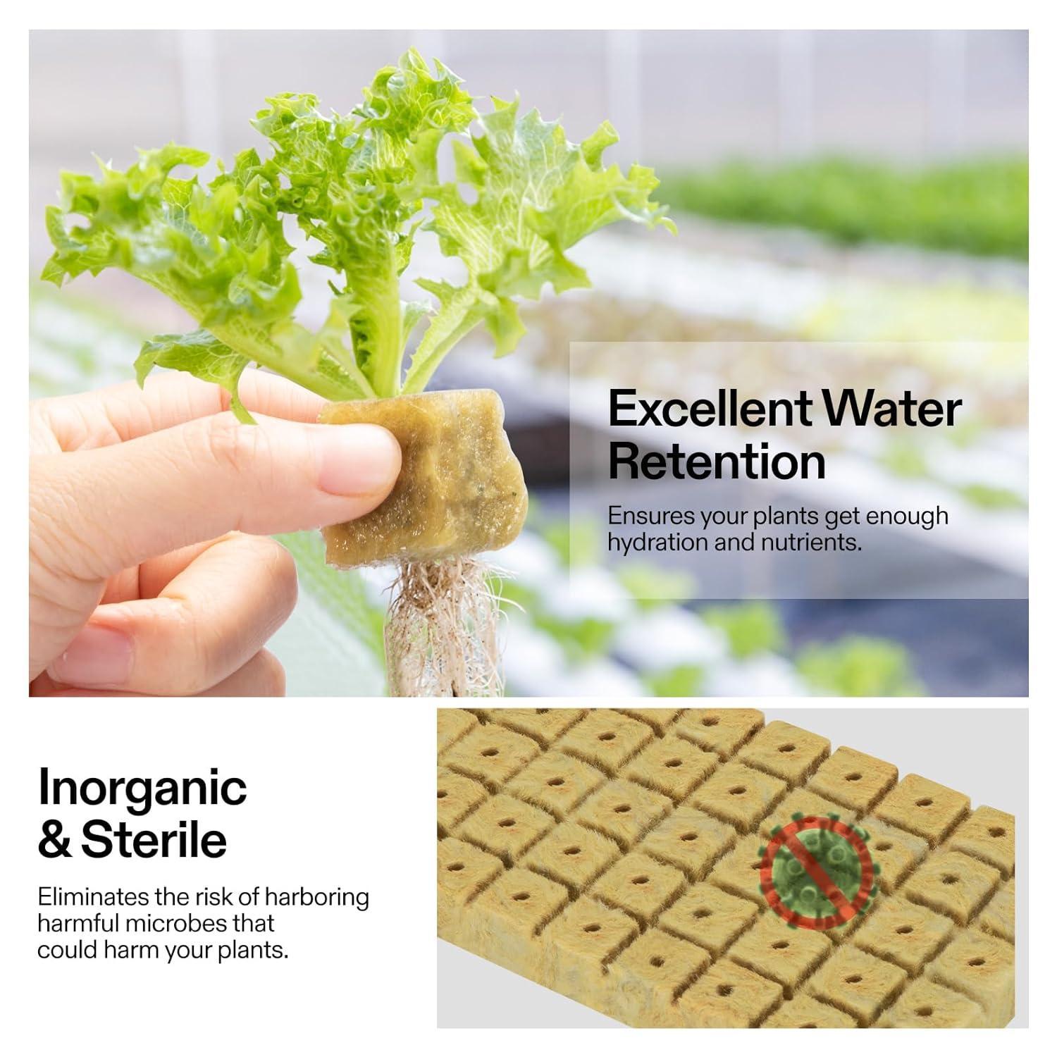 1" Rockwool Grow Cubes, 4 Sheets of 200 Plugs