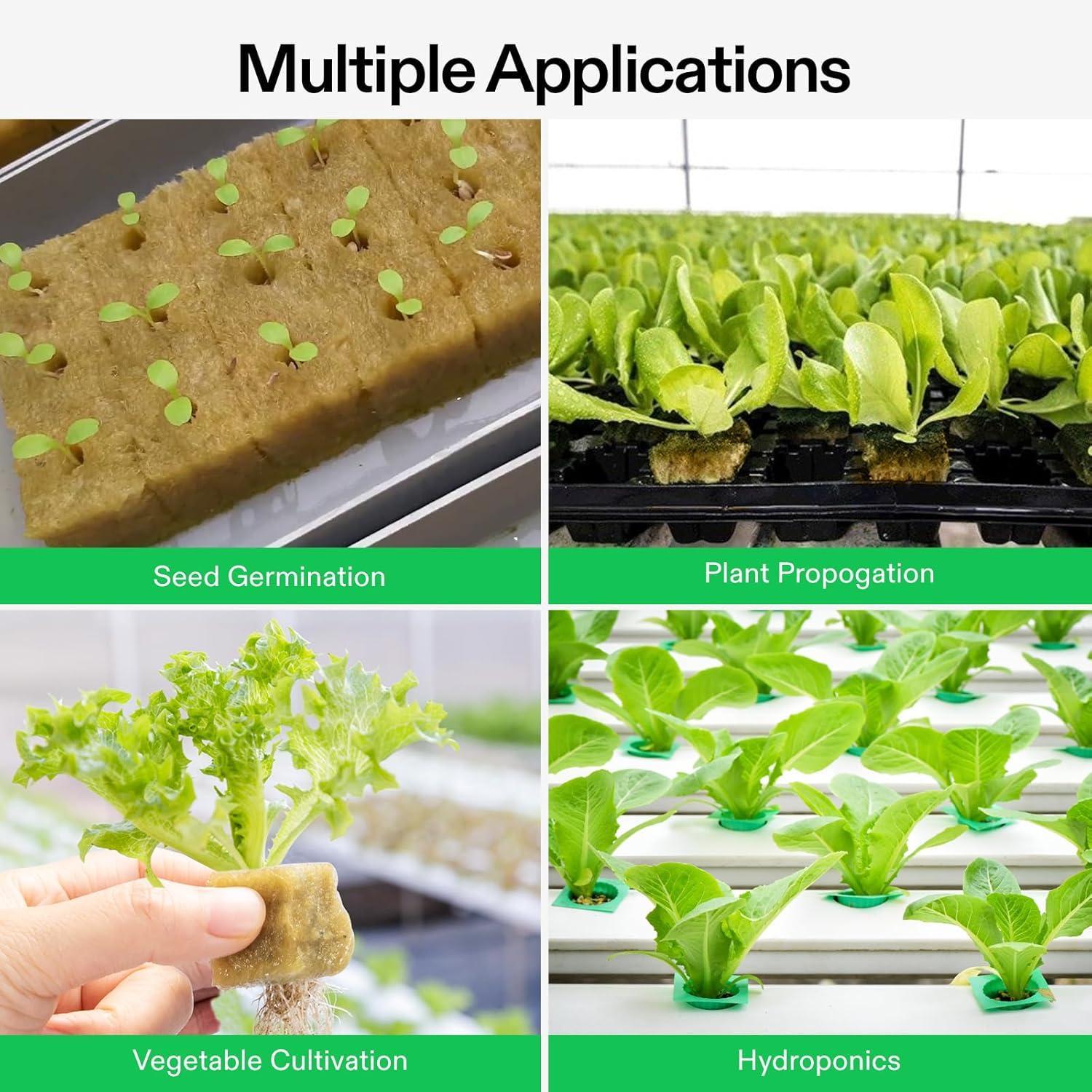 1" Rockwool Grow Cubes, 4 Sheets of 200 Plugs