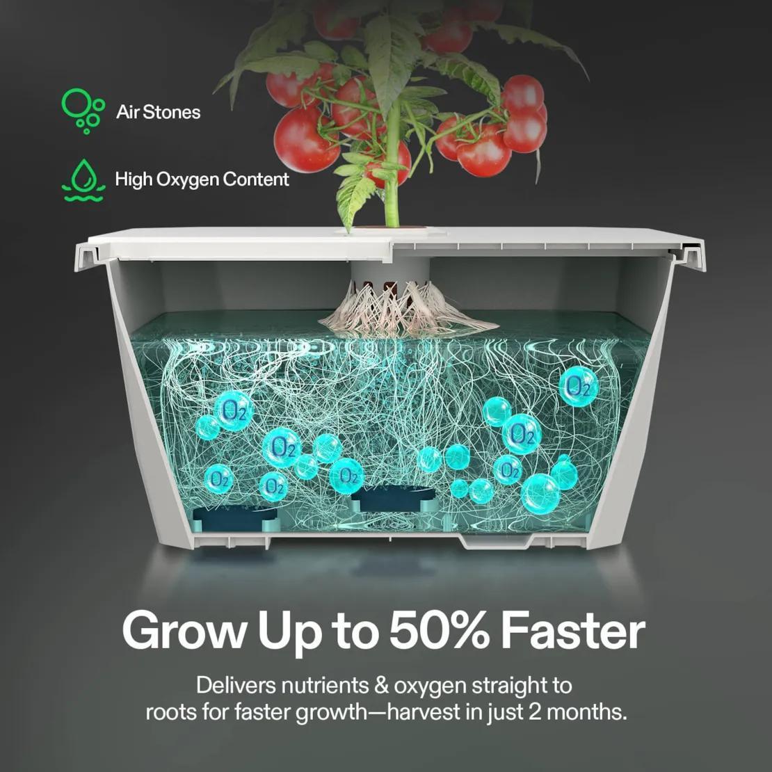 VGrow DWC Hydroponics Growing System Kit for VGrow Smart Grow Box, 4-Gallon Deep Water Culture with Air Stones and Rapid Rooters