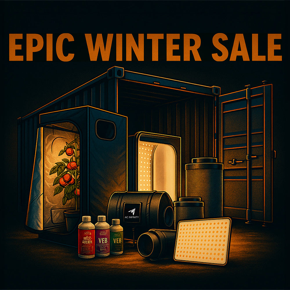 EPIC Winter Sale Image